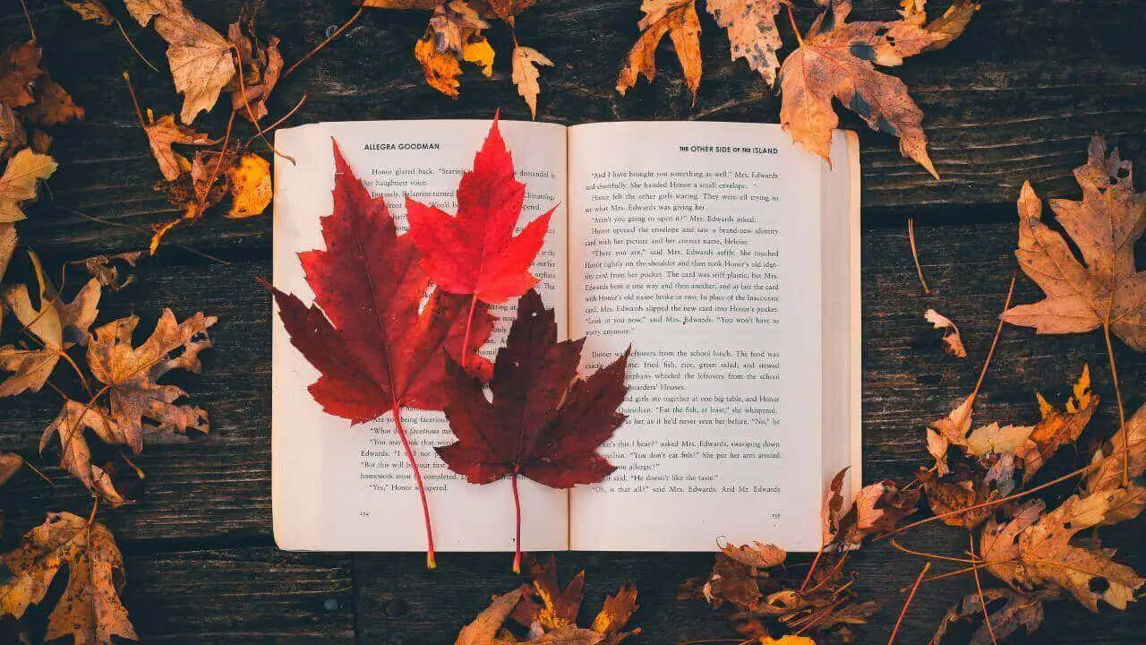 An Open Book With Red Leaves On It