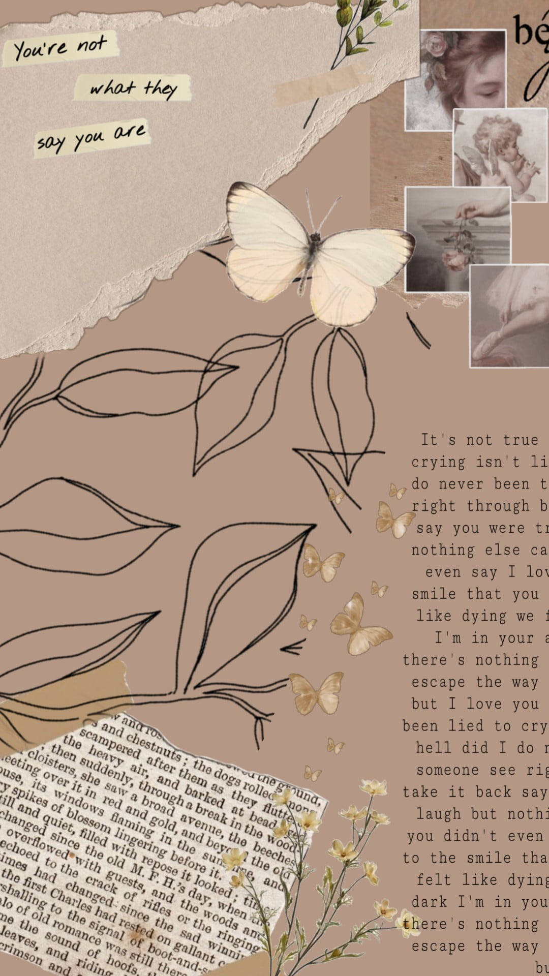 Aesthetic Brown Book And Butterfly Wallpaper