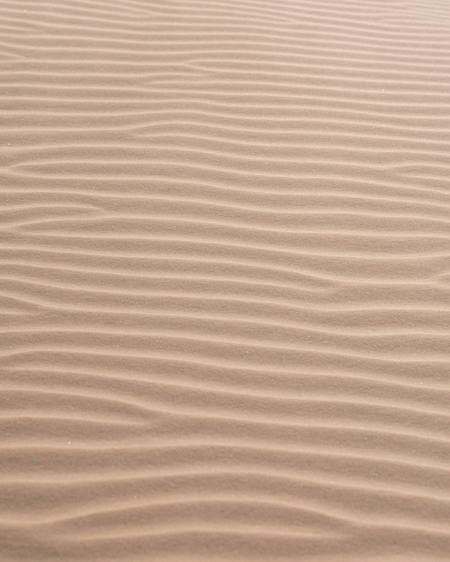 Aesthetic Brown Dunes Wallpaper