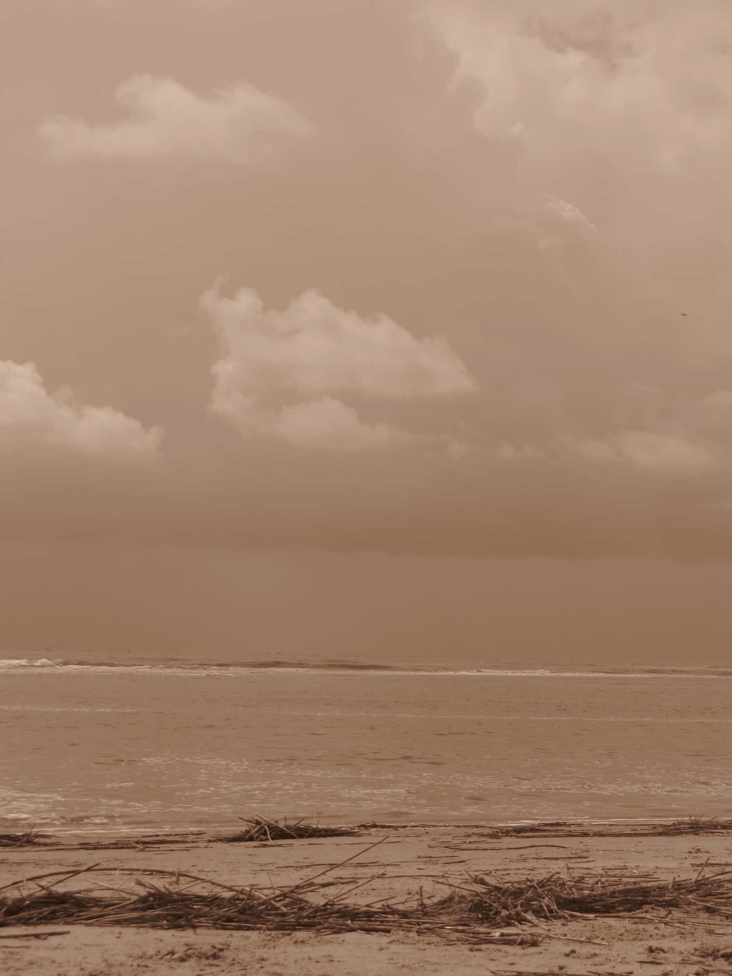 Unhombre Está Surfeando En Una Tabla En La Playa.