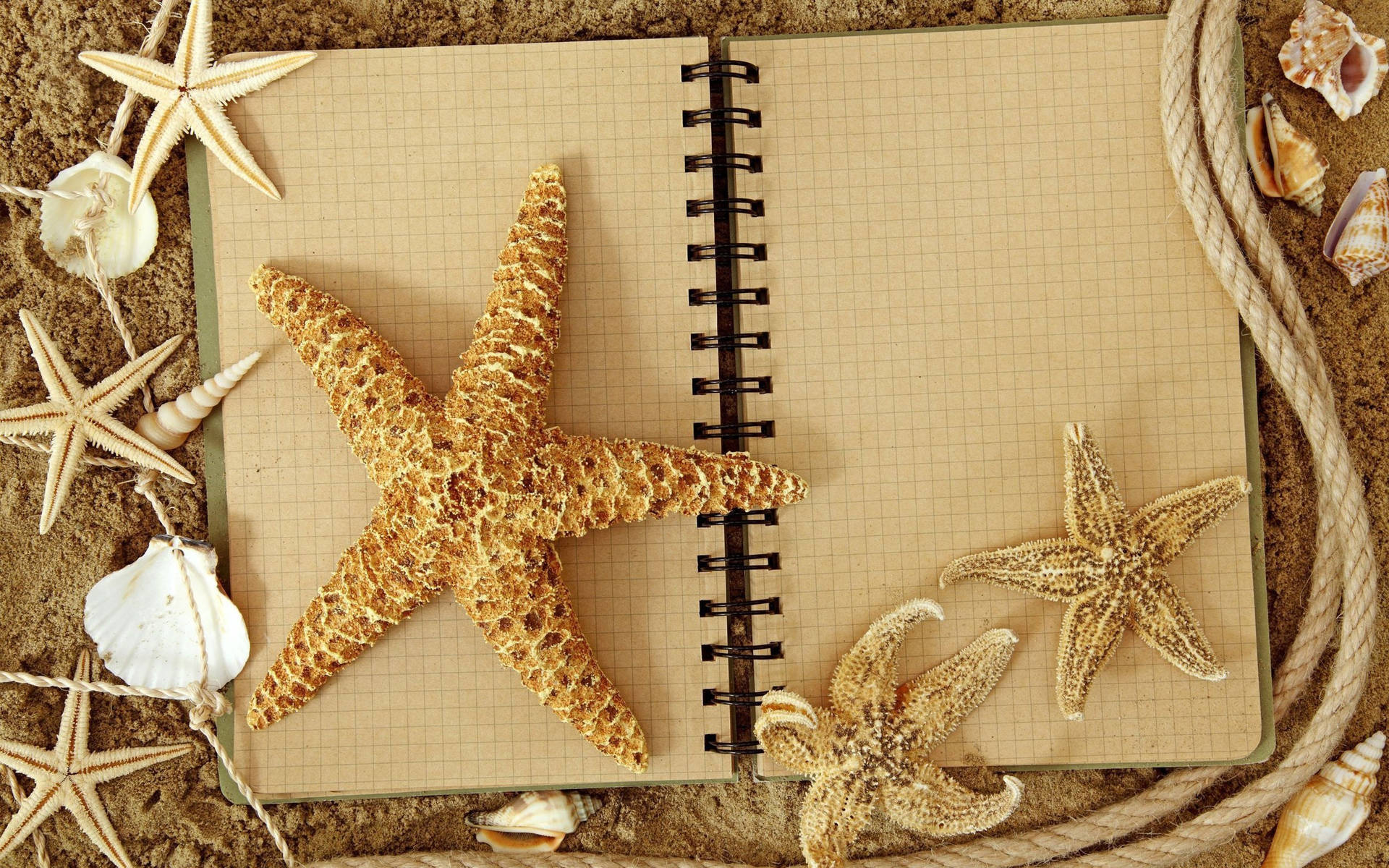 Aesthetic Brown Starfish Journal Wallpaper