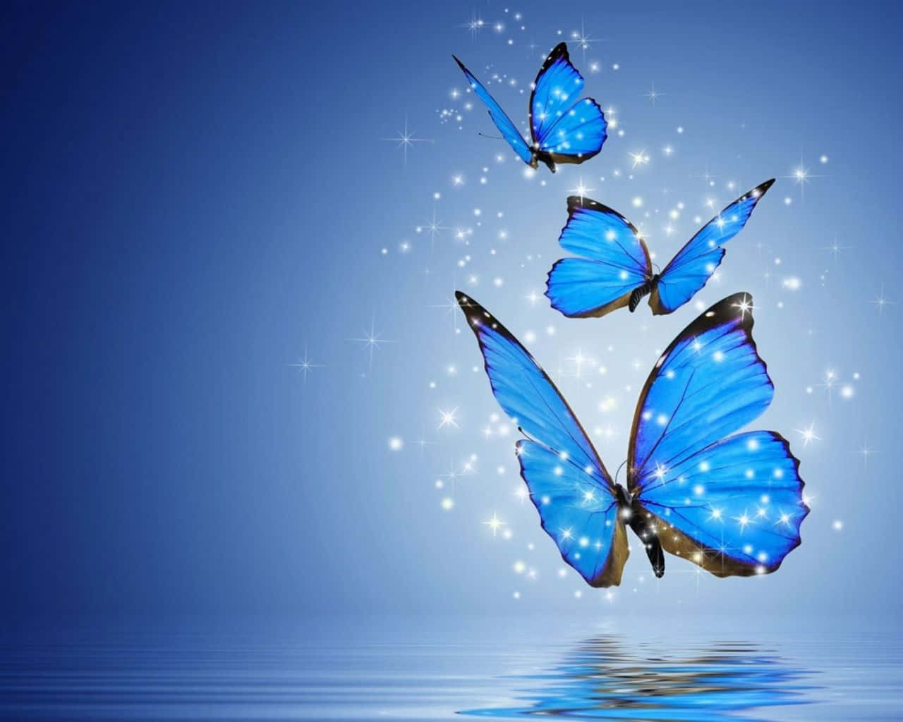 Enchanting Aesthetic Butterfly Background