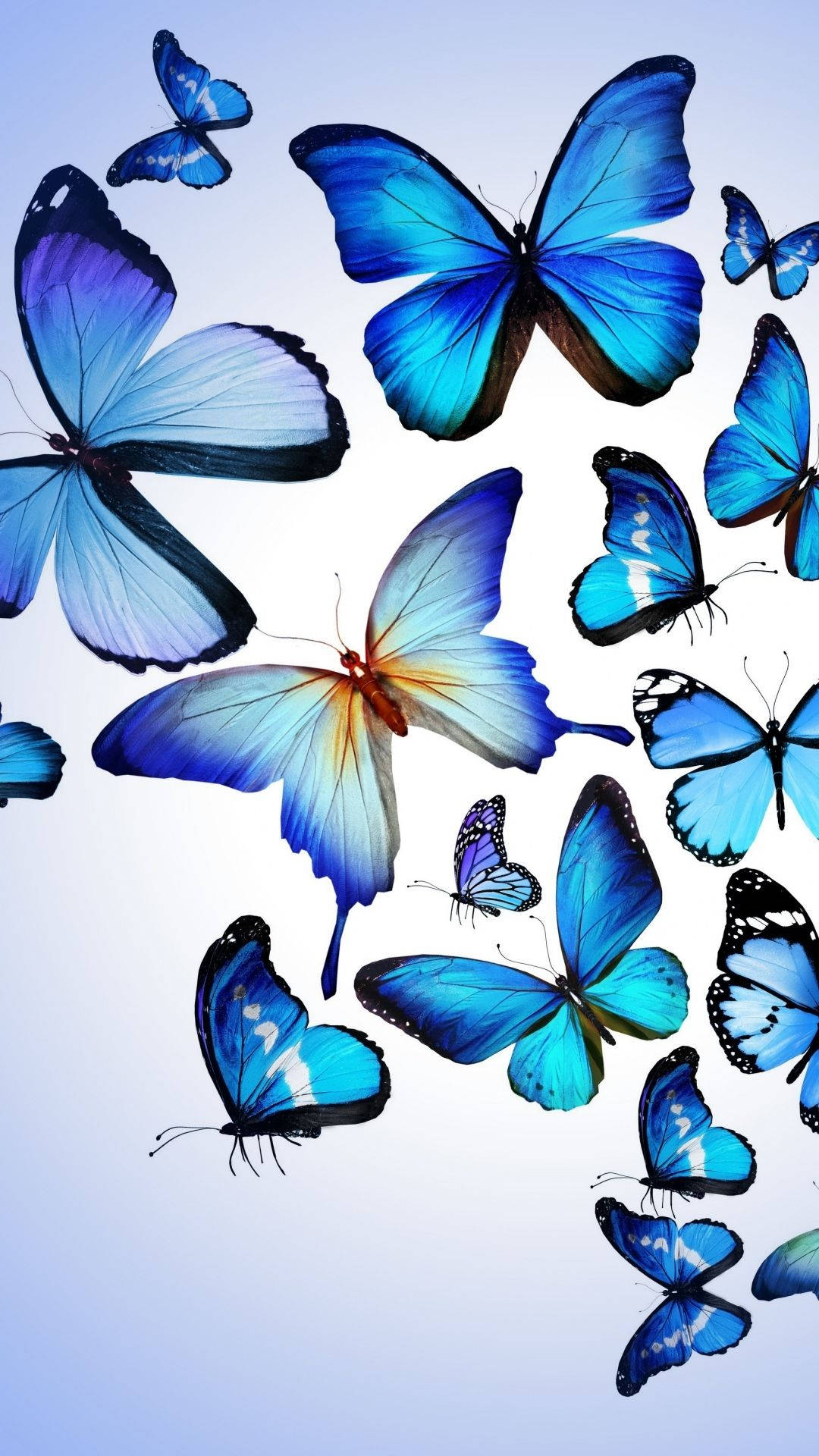 Æstetisk sommerfugl Iphone Tema Display Wallpaper