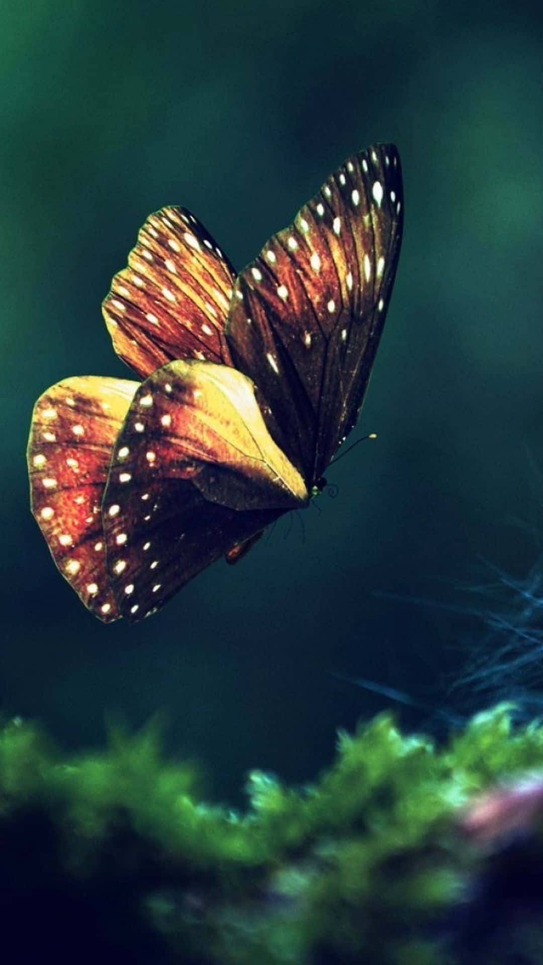 A butterfly spreads its beautiful wings surrounded by a serene floral background