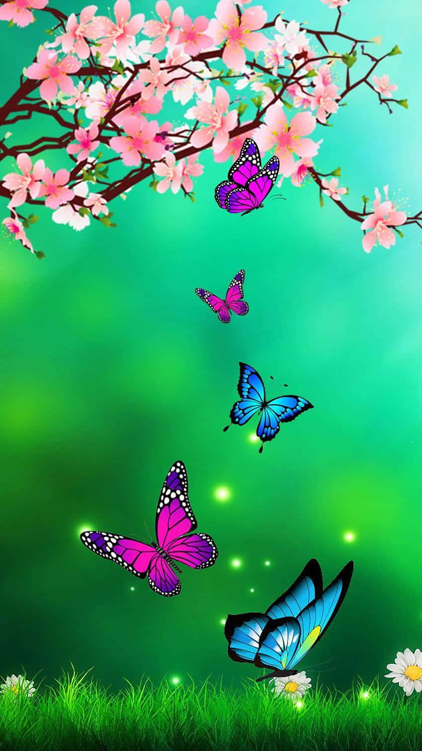 Schönesästhetisches Schmetterlingsbild