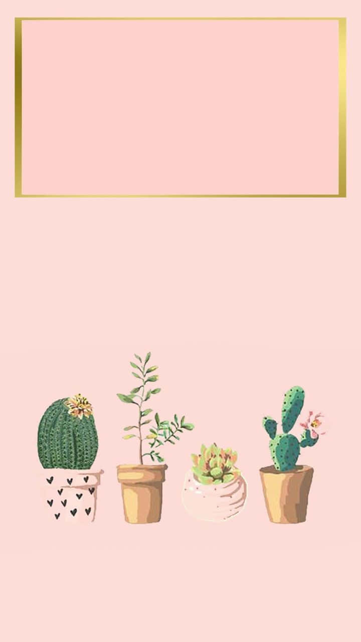 Aesthetic Pastel Pink Cactus Wallpaper