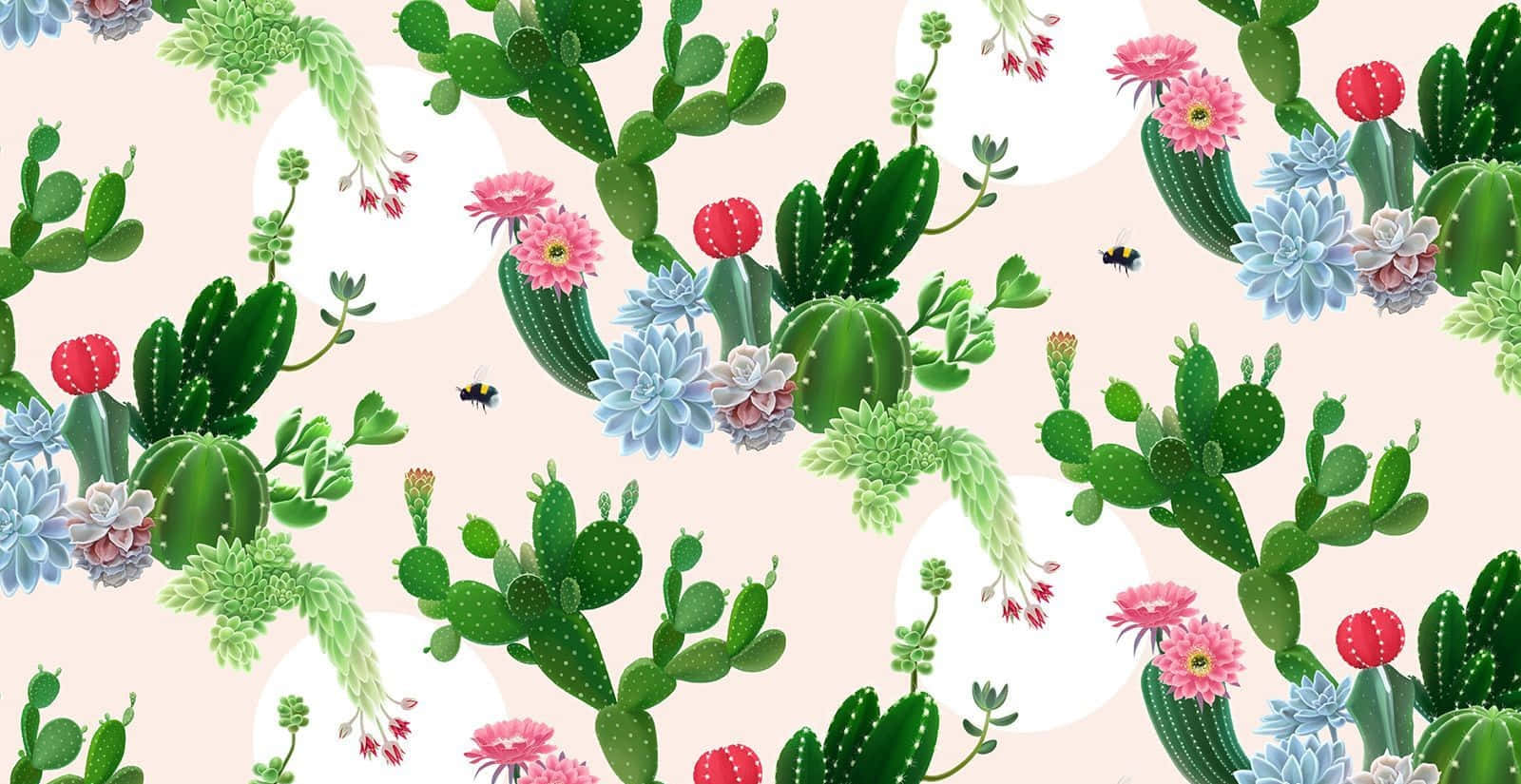 Florde Cactus Estético Fondo de pantalla