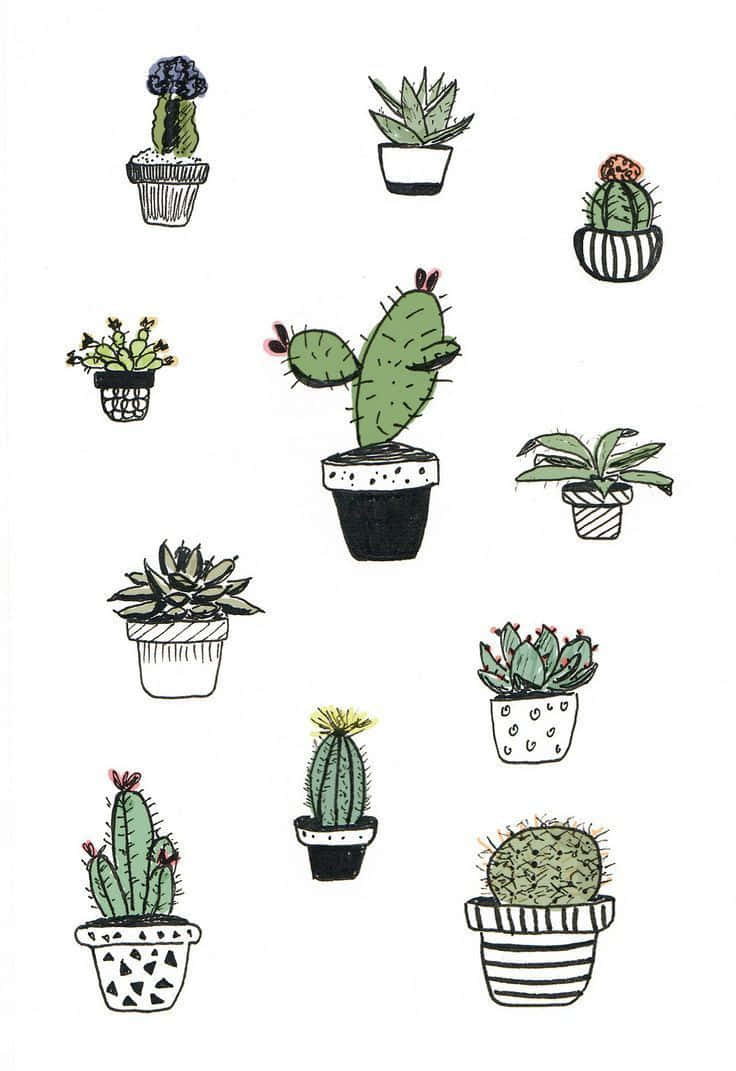 Iconaestetica Di Cactus Sfondo