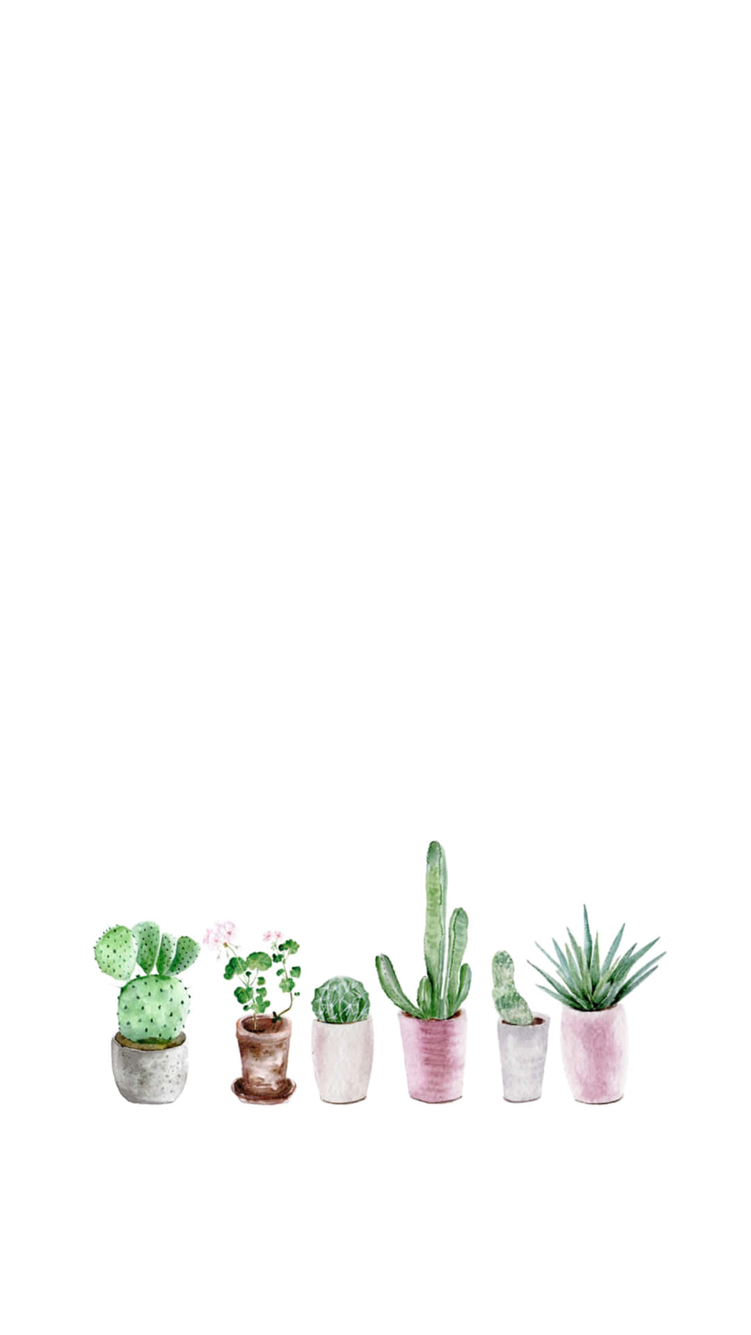 Aesthetic Cactus Pot Wallpaper
