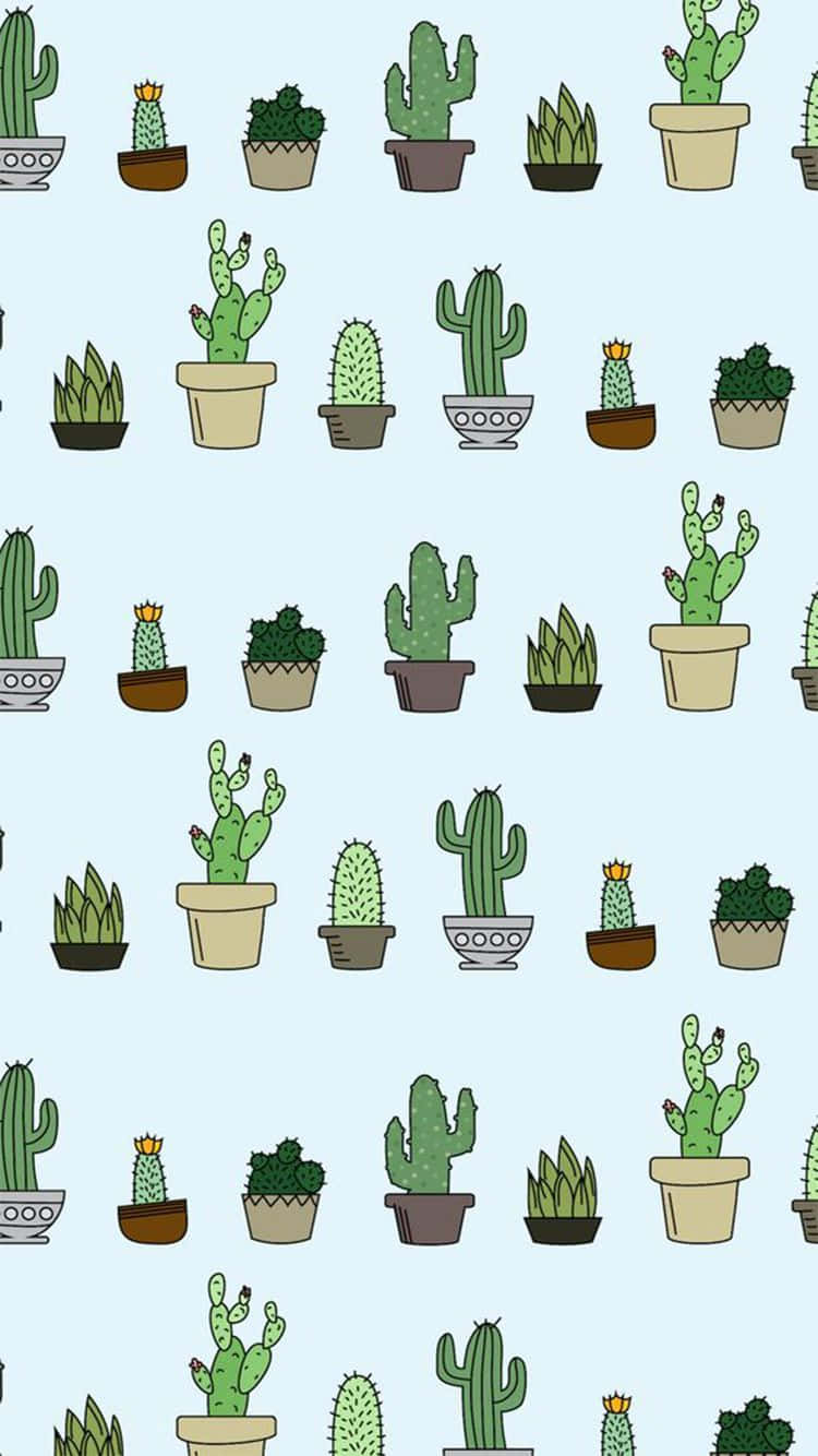 A Pattern Of Cactus Plants In Pots Wallpaper