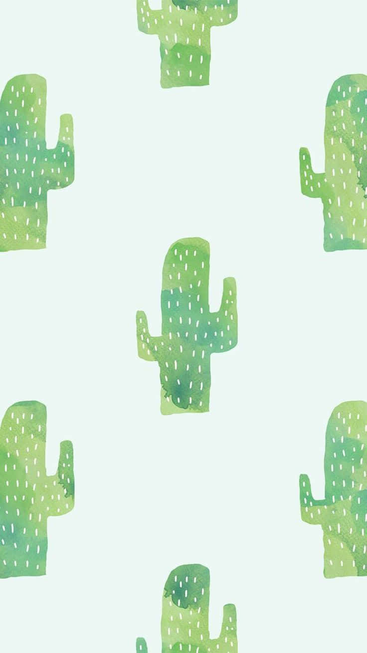 Modelloverde Estetico Di Cactus Sfondo