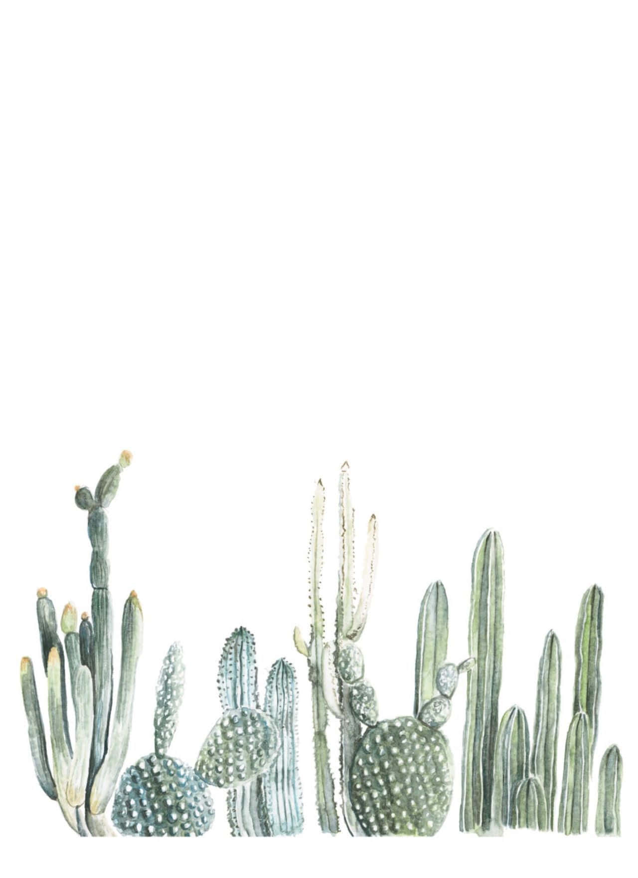 Æstetisk Kaktus 1280 X 1760 Wallpaper