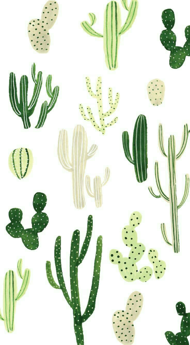 Estiloestético De Cactus En Tonos Verdes. Fondo de pantalla