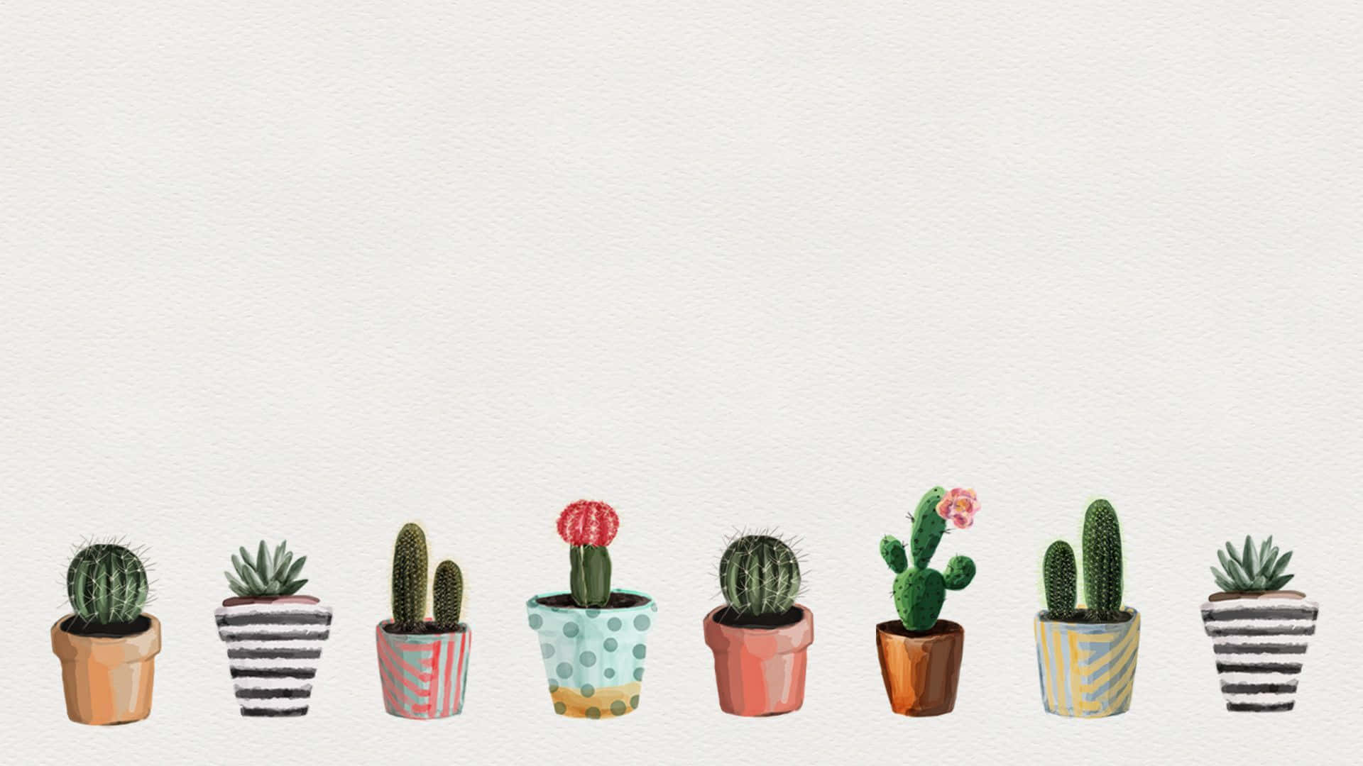 Aesthetic Cactus Potted Plants Wallpaper