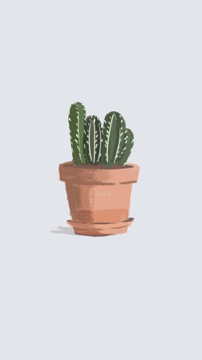 Aesthetic Cactus On A Pot Wallpaper