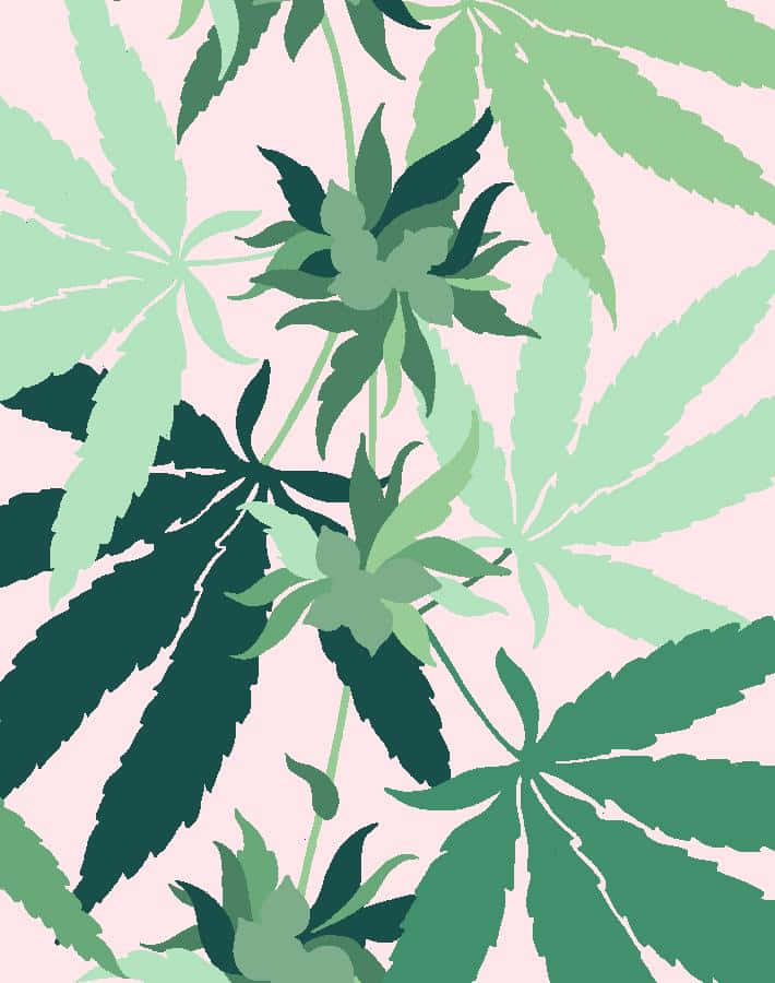 Aesthetic Cannabis Leaf Wallpaper