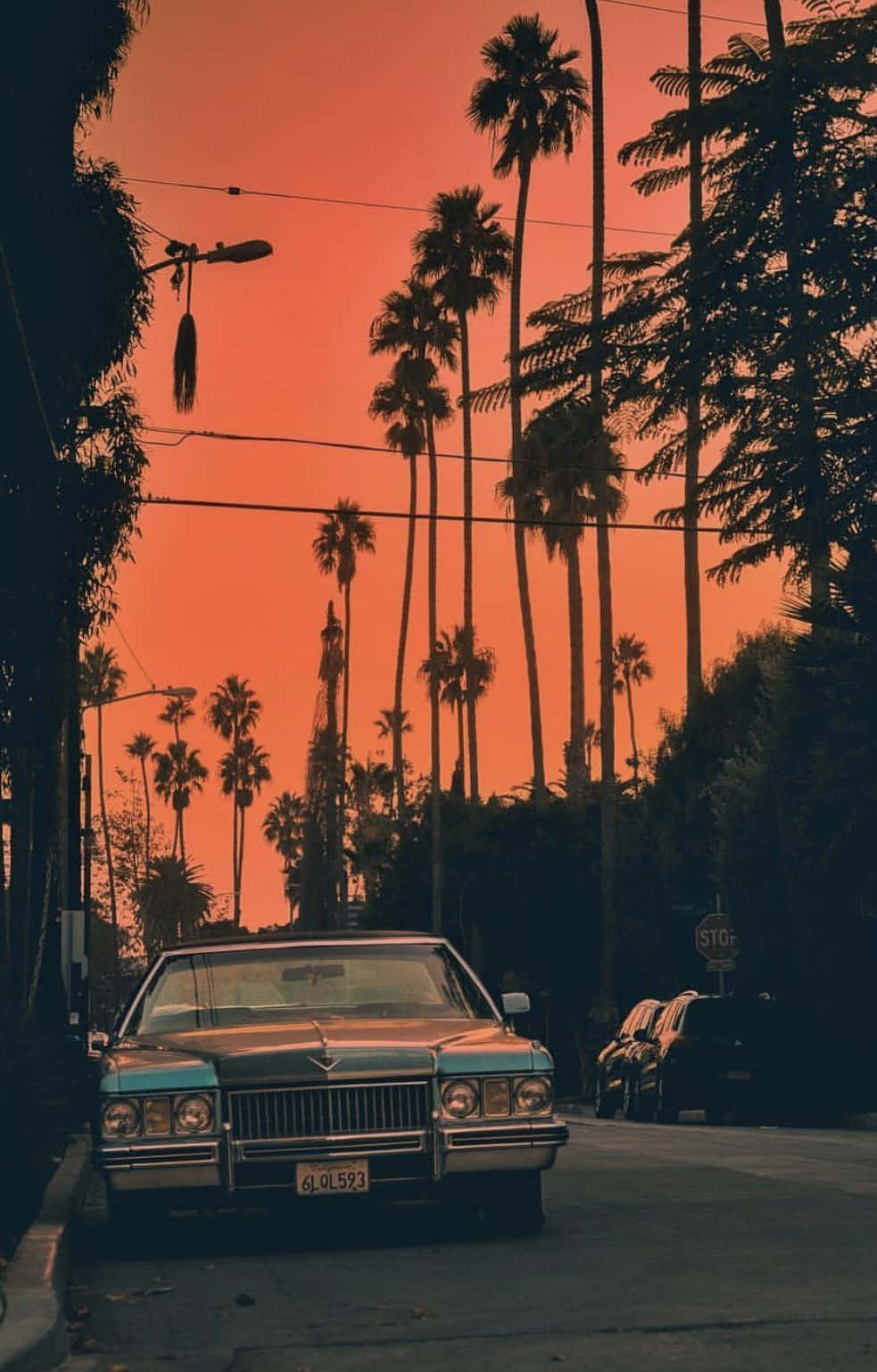 A Car Parked On A Street With Palm Trees In The Background Wallpaper