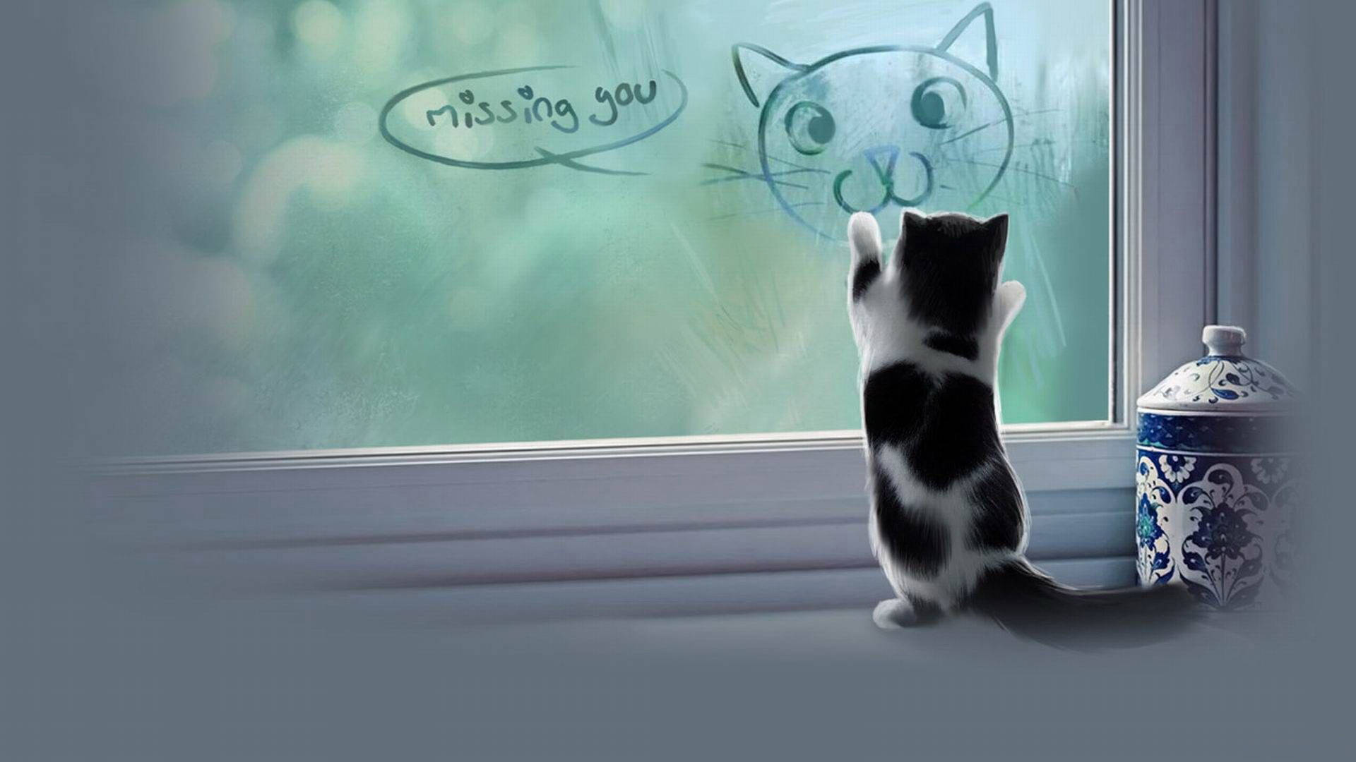 Aesthetic Cat In Window Wallpaper