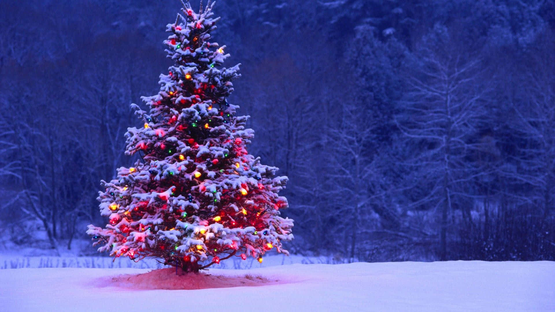 Unárbol De Navidad En La Nieve Con Luces Encendidas