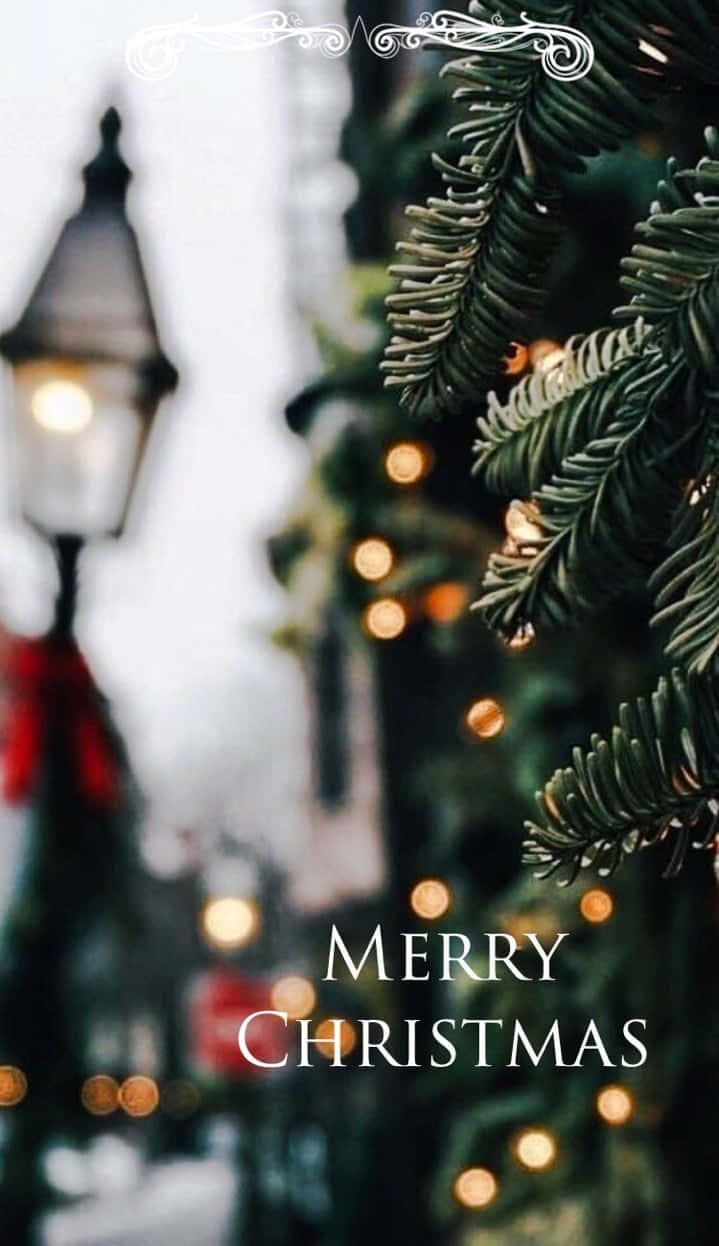 Spread the magic of the festive season with a beautiful and aesthetic Christmas background