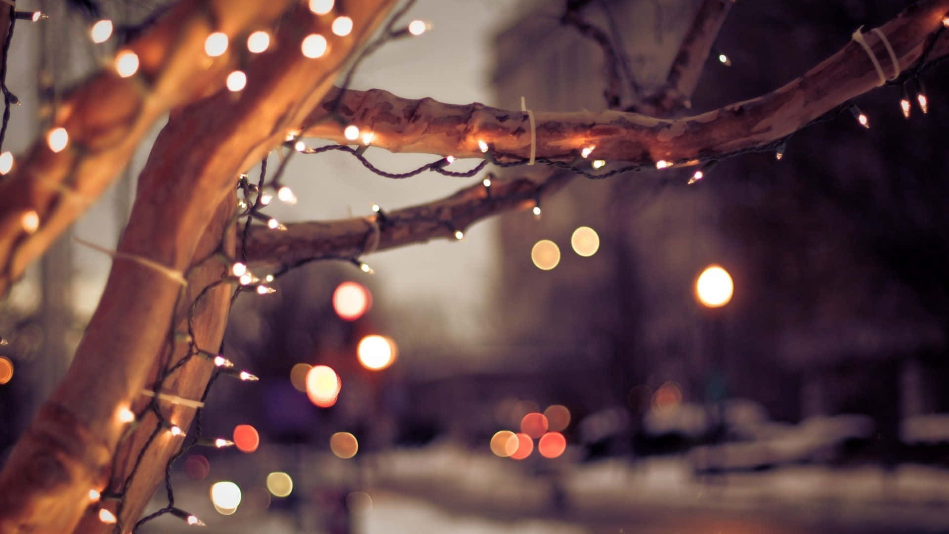 Julelys på et træ i sneen Wallpaper