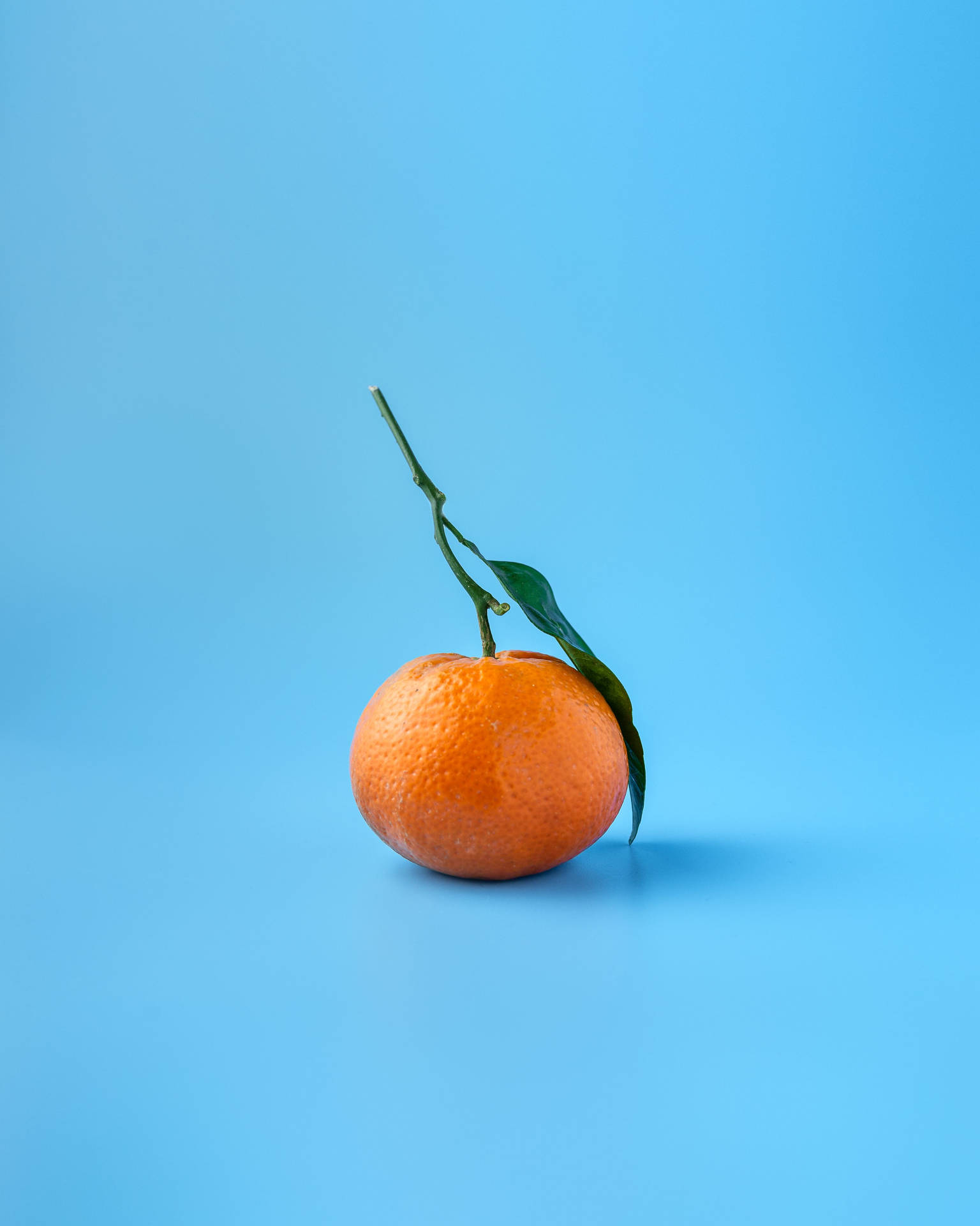 Aesthetic Chromebook Tangerine Wallpaper