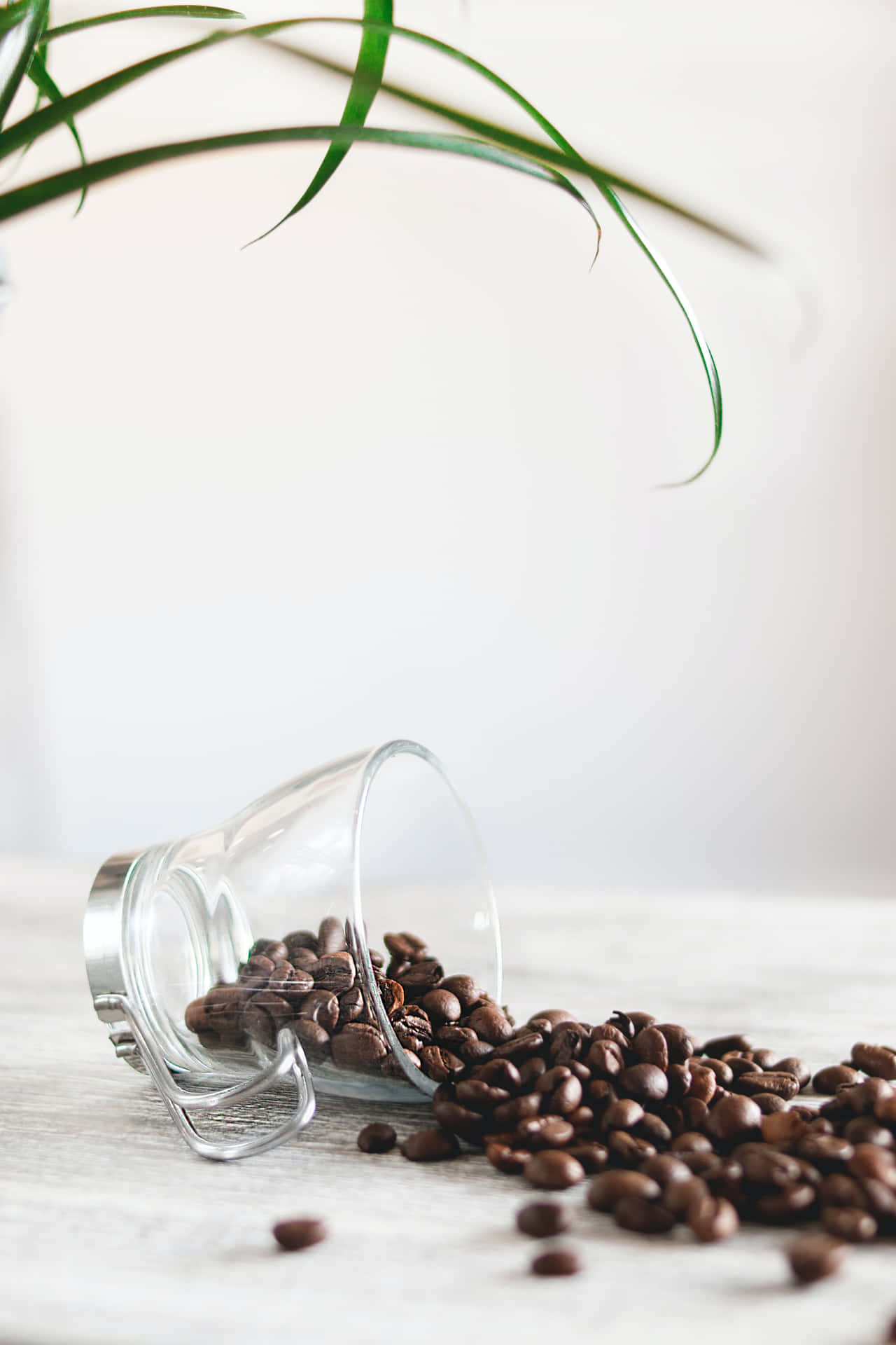 Aesthetic Close-up Photograph Of Freshly Brewed Coffee