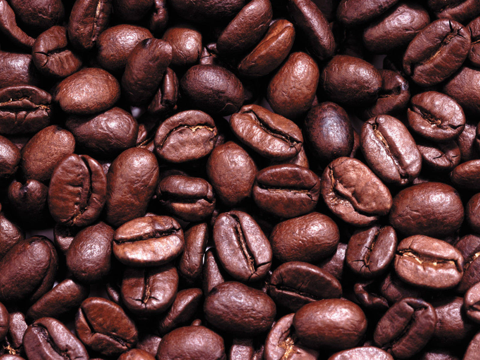 Aesthetic Coffee Beans Background