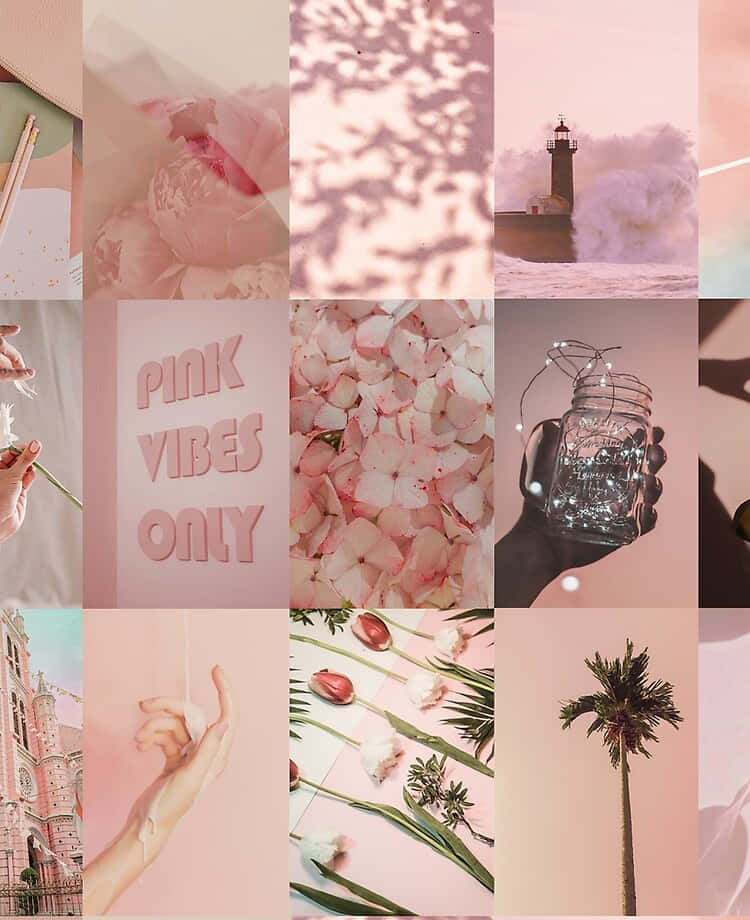 Pink Vibes Only - Instagram