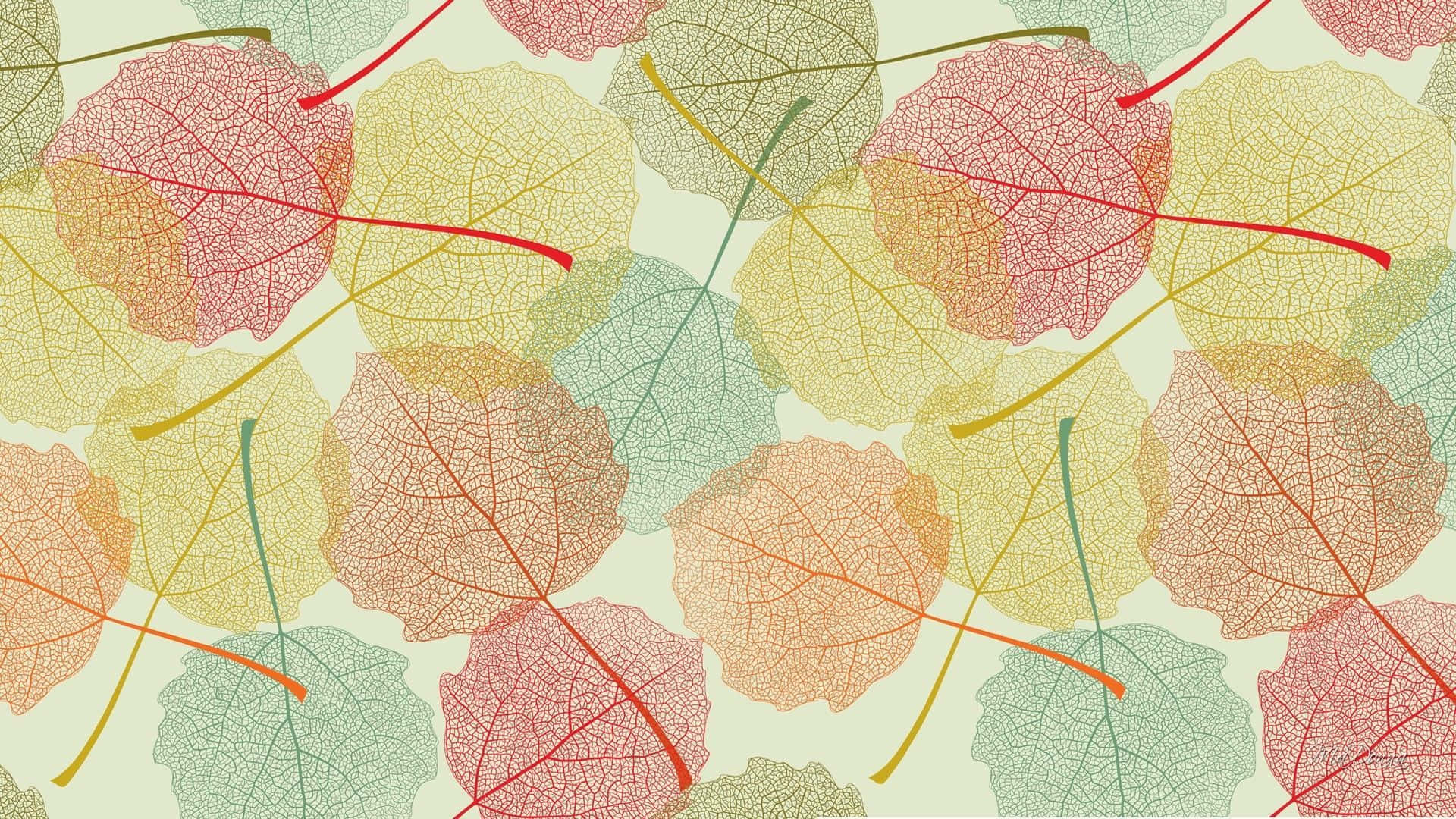Aesthetic Autumn Leaves Colors Wallpaper
