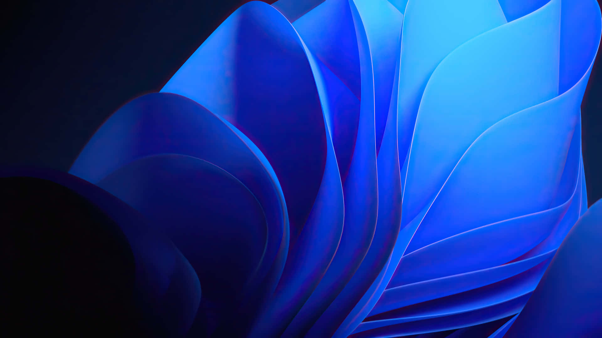 A Blue Abstract Flower With A Black Background Wallpaper