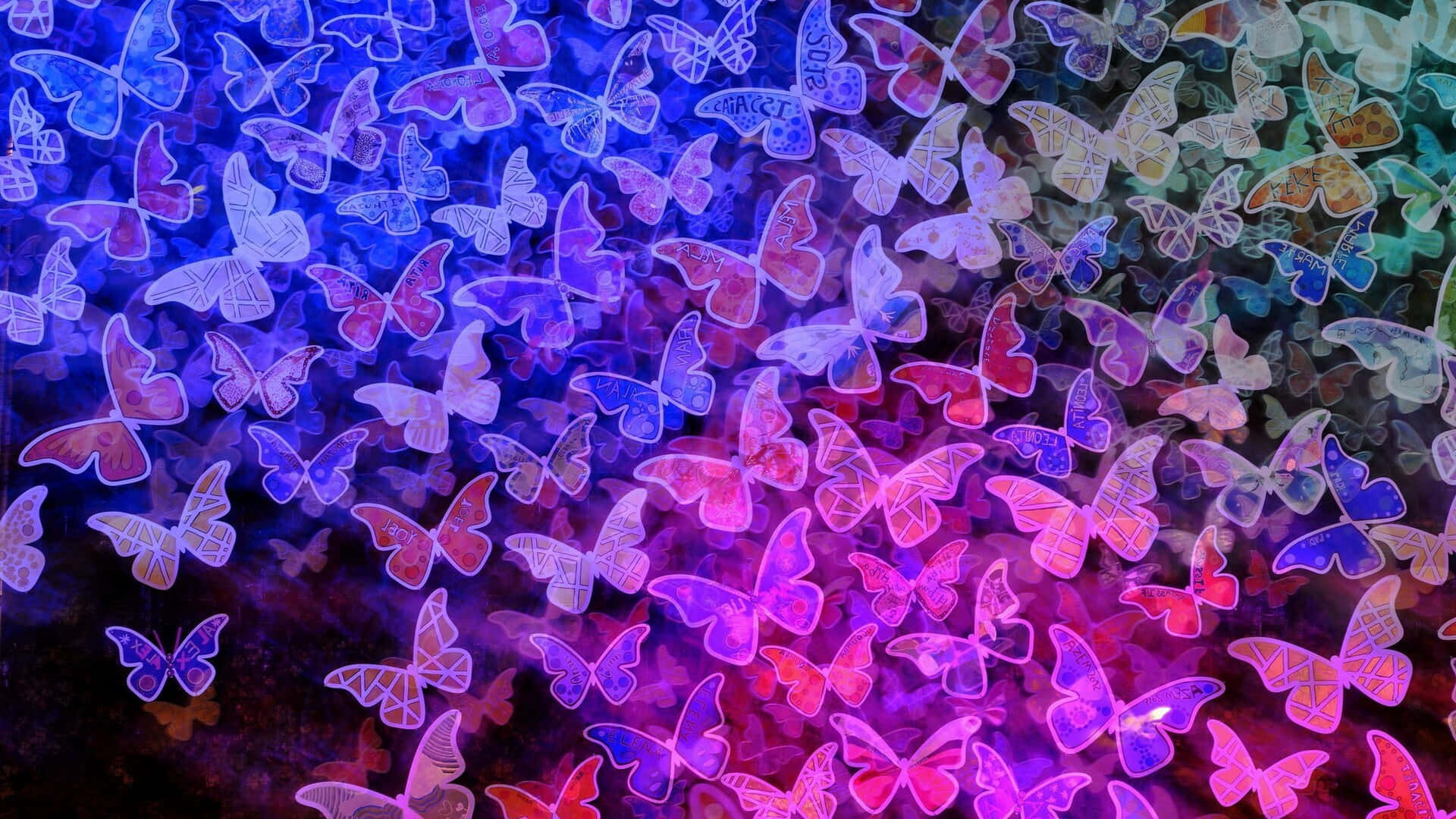 Enfärgglad Bild Av Fjärilar I Mörkret