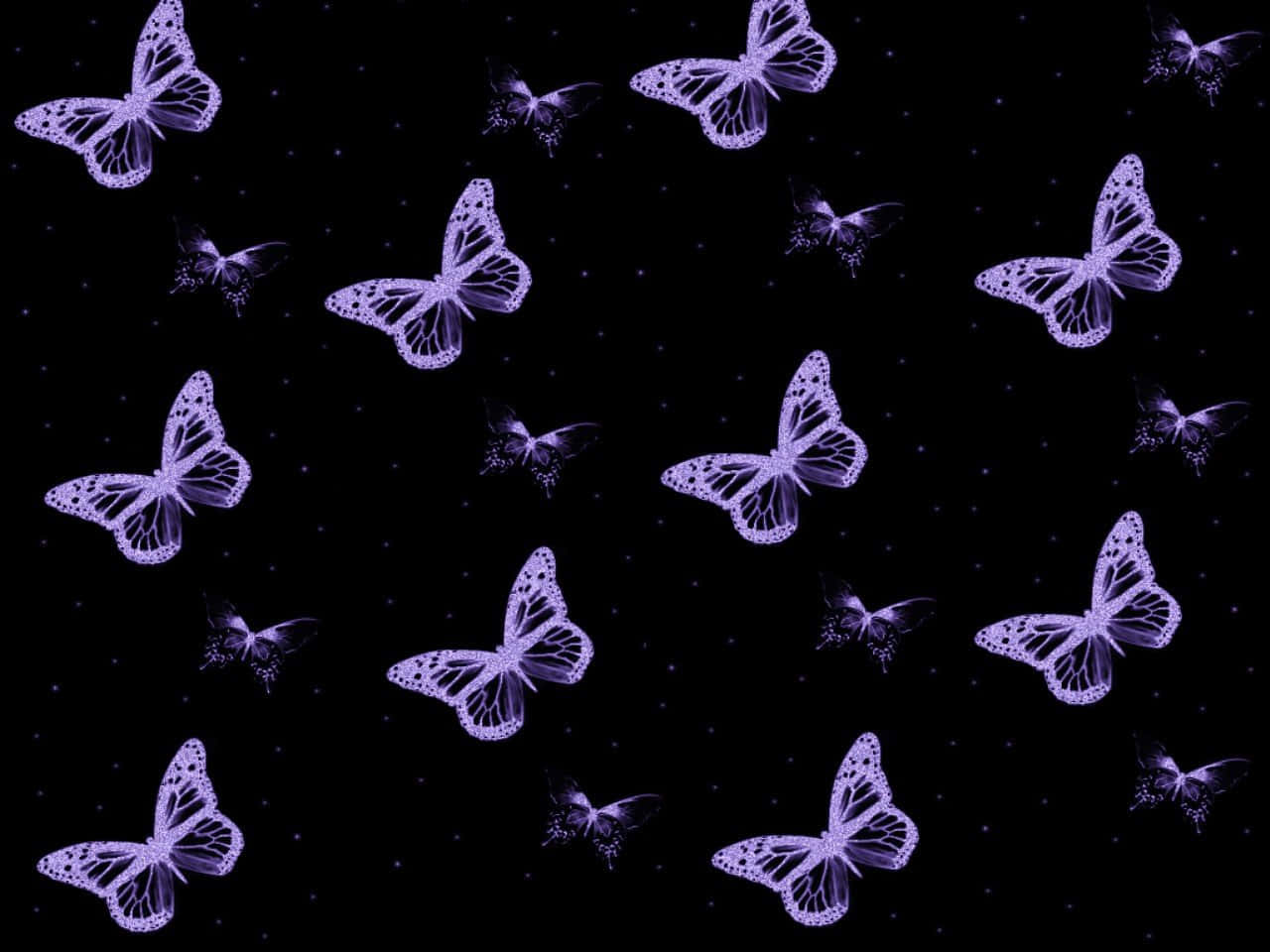 Purple Butterflies On A Black Background