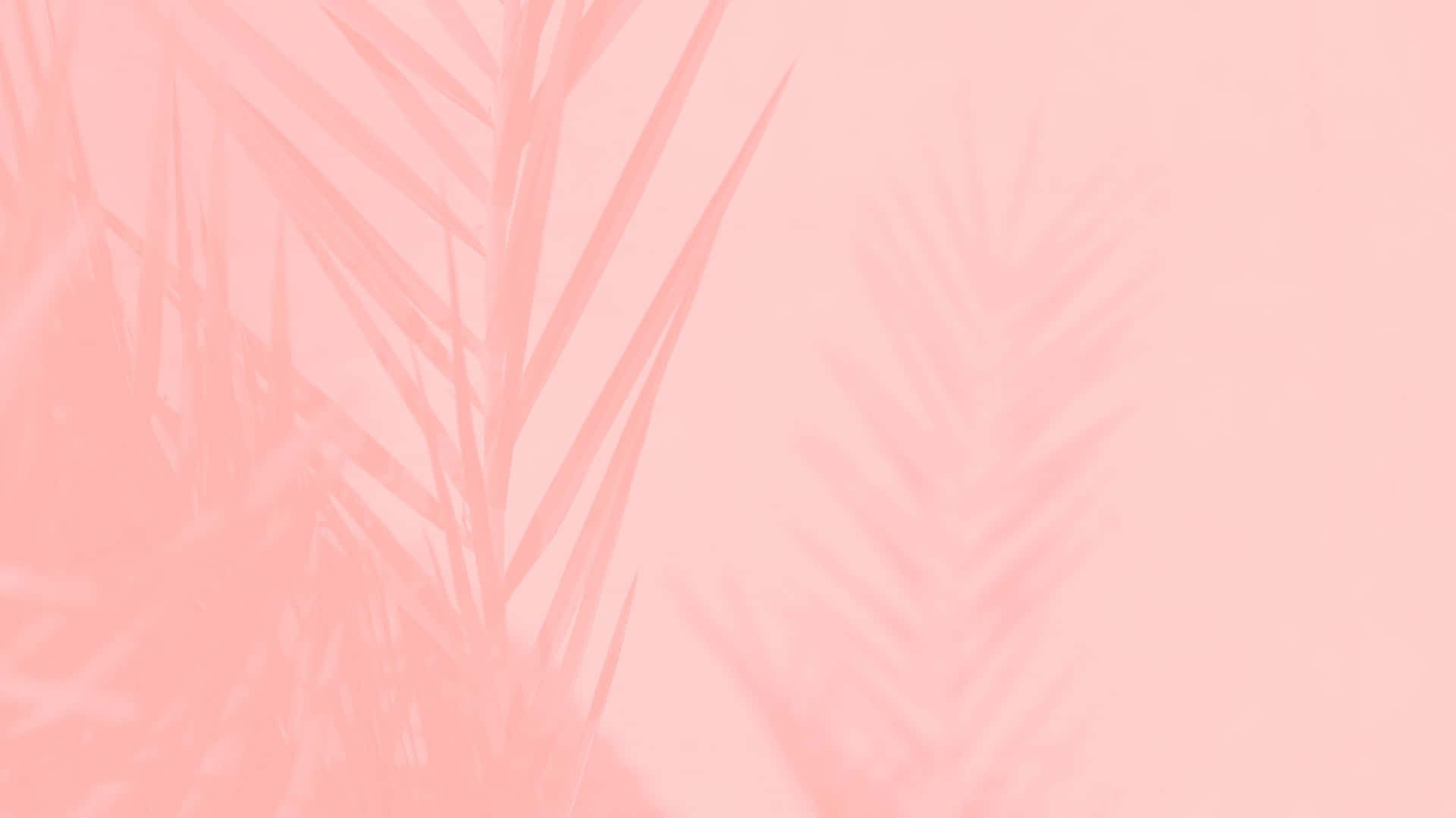 Aesthetic Computer Light Pink Leaves Silhouette Wallpaper