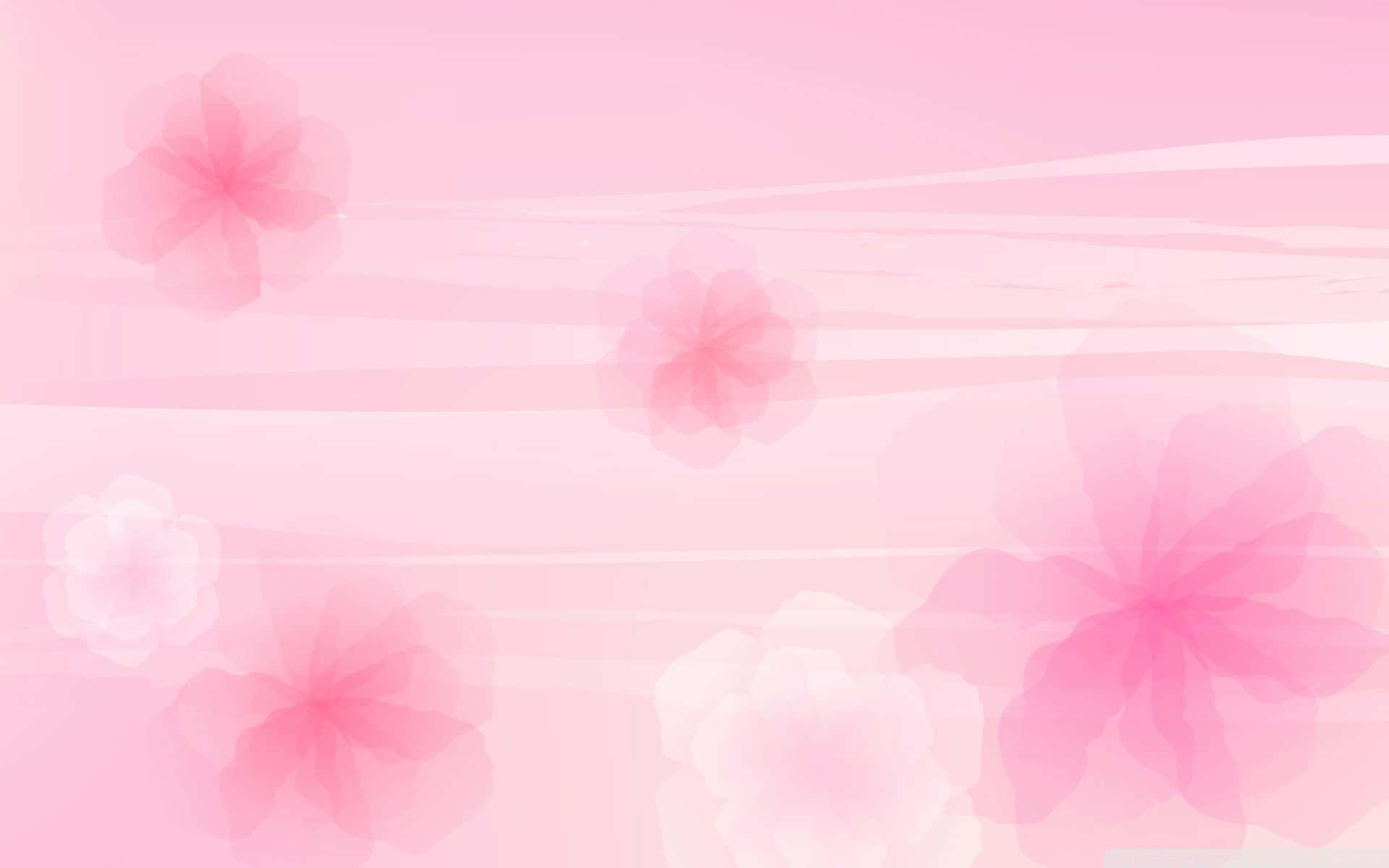 Aesthetic Computer Light Pink Transparent Flowers Wallpaper