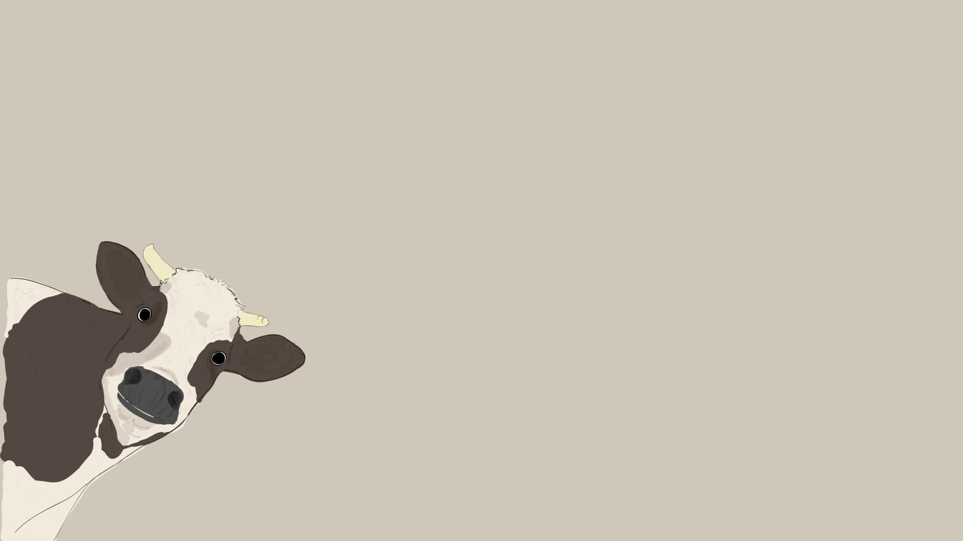 Download A lyrical portrait of the majesty and beauty of a grass-eating cow.  Wallpaper