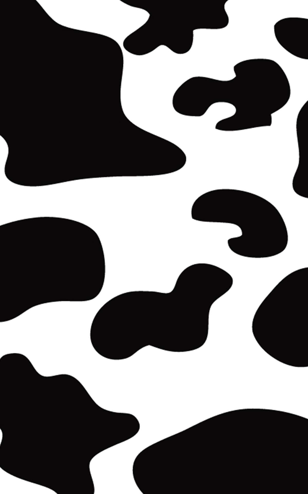 Image  A Distinguished Cow Stands Out From His Herd Wallpaper