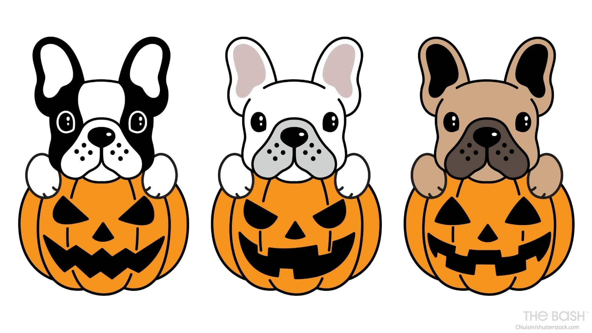 Aesthetic Cute Halloween French Bulldogs Pumpkins Wallpaper