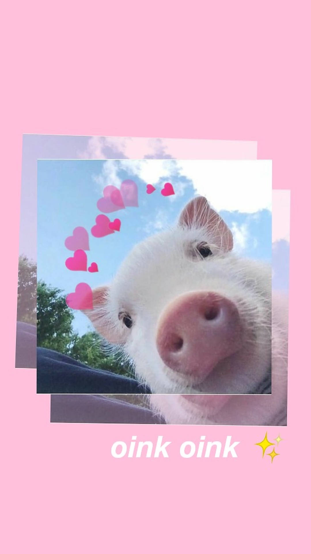 Aesthetic Cute Pig Background