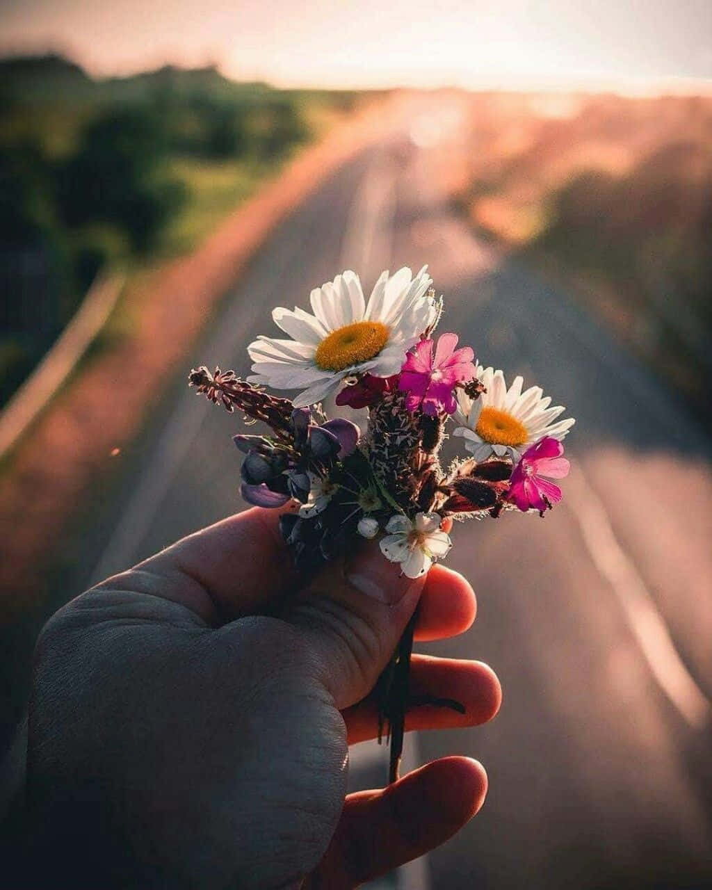 A Hand Holding Flowers On A Road