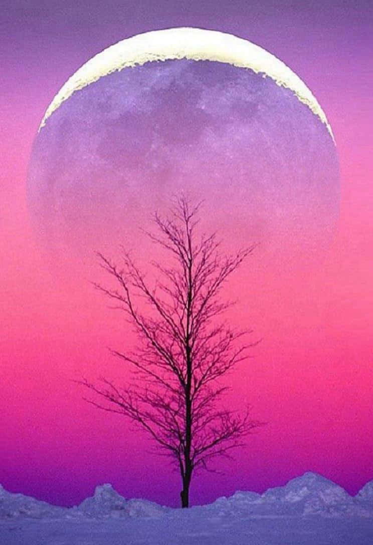 Download A Tree In The Snow With A Pink Moon | Wallpapers.com