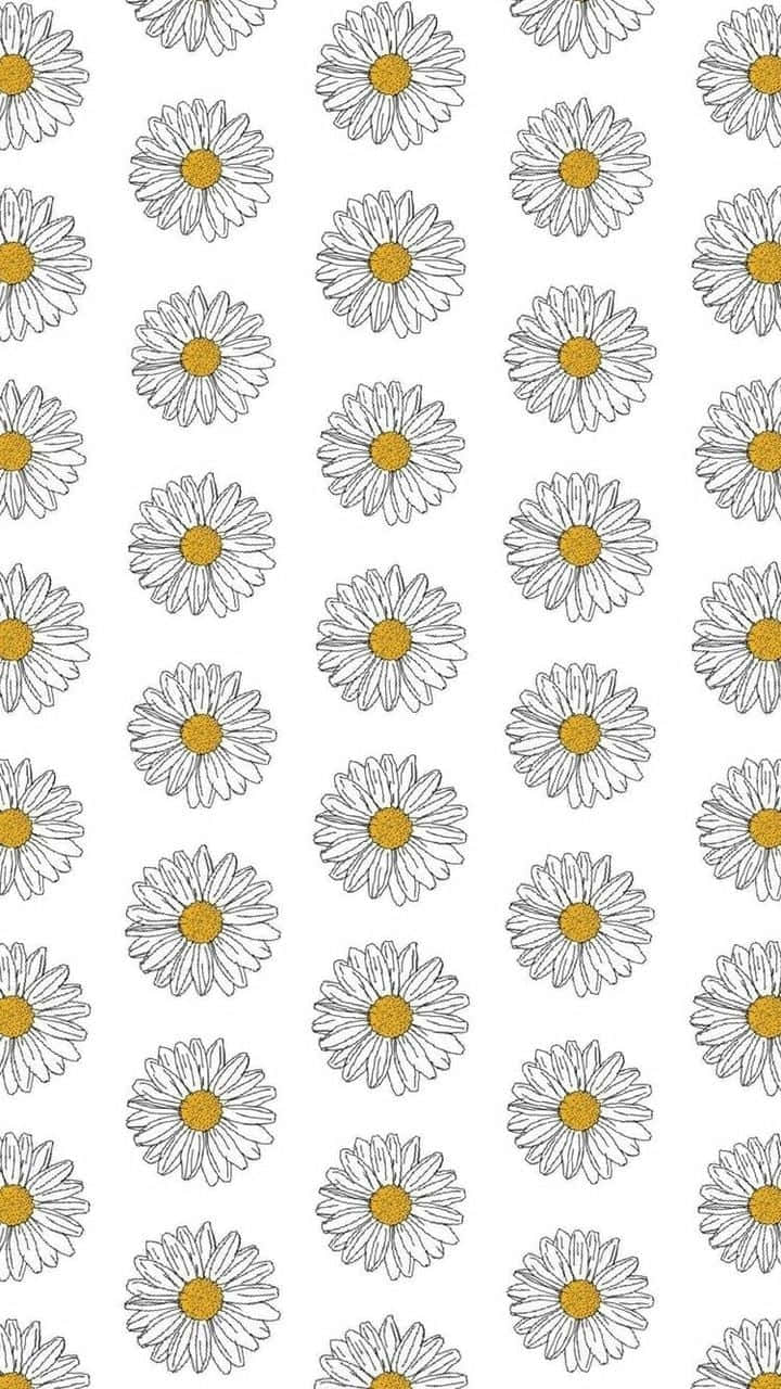 Aesthetic Daisy Pattern Drawing Wallpaper