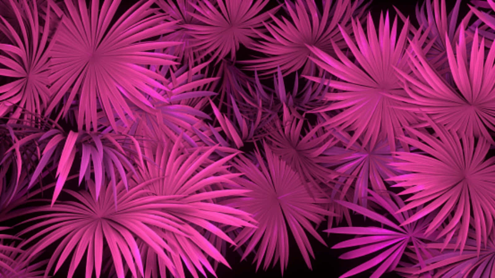 A Purple Background With Palm Leaves Wallpaper