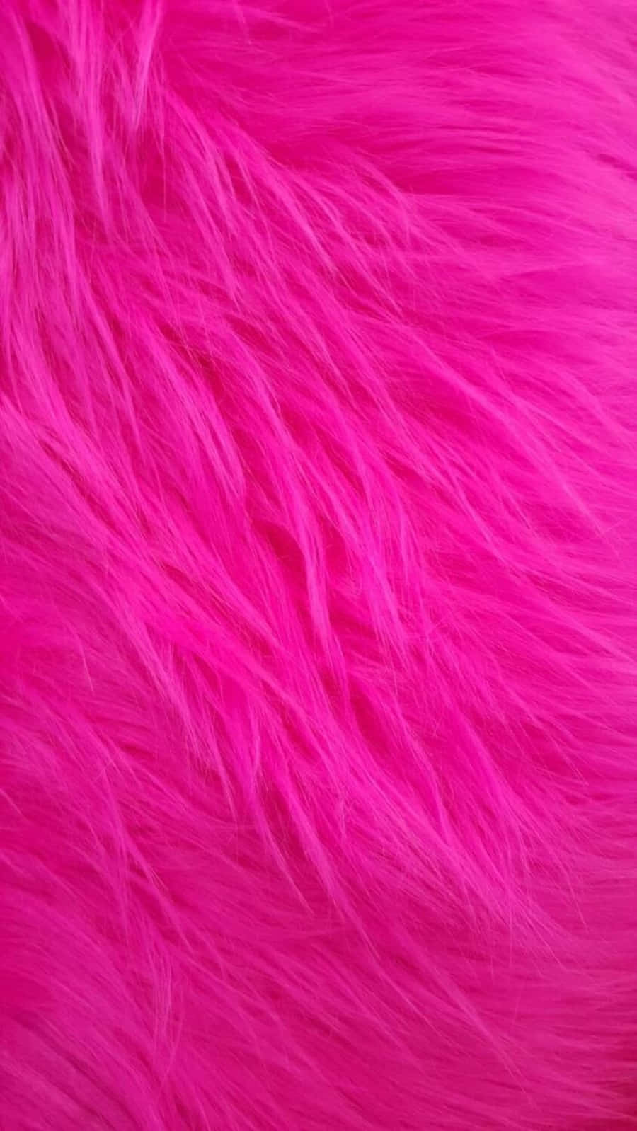 Aesthetic Dark Pink Feather Wallpaper