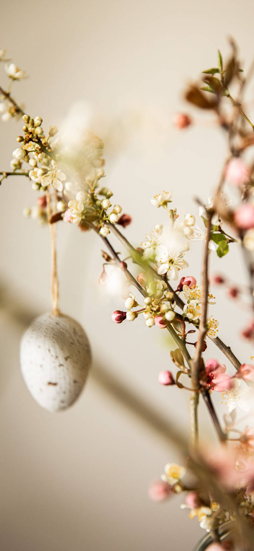 Enjoy tasteful Easter celebrations with chic decorations and pastel colors. Wallpaper