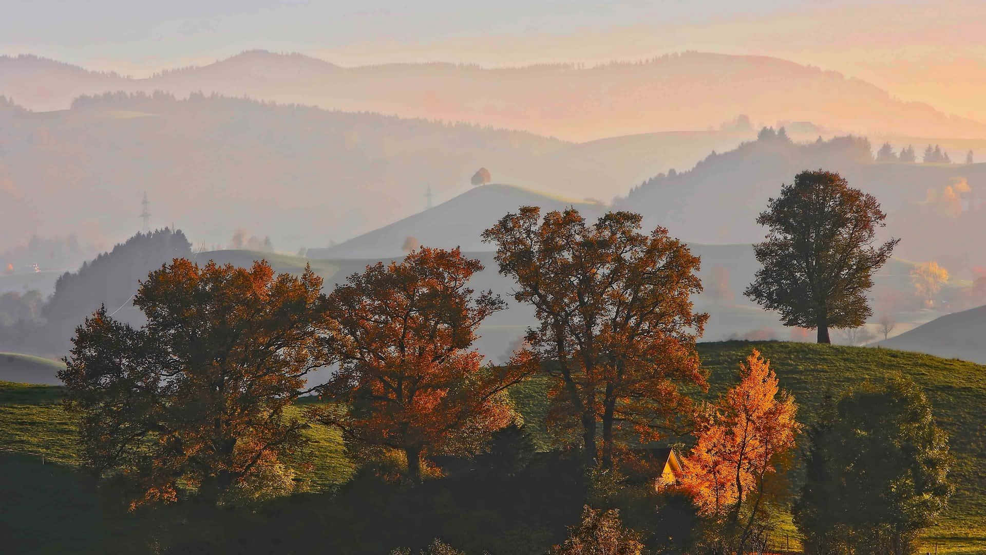 Goditila Bellezza Dell'autunno Con Questi Splendidi Colori E Paesaggi Autunnali Estetici.
