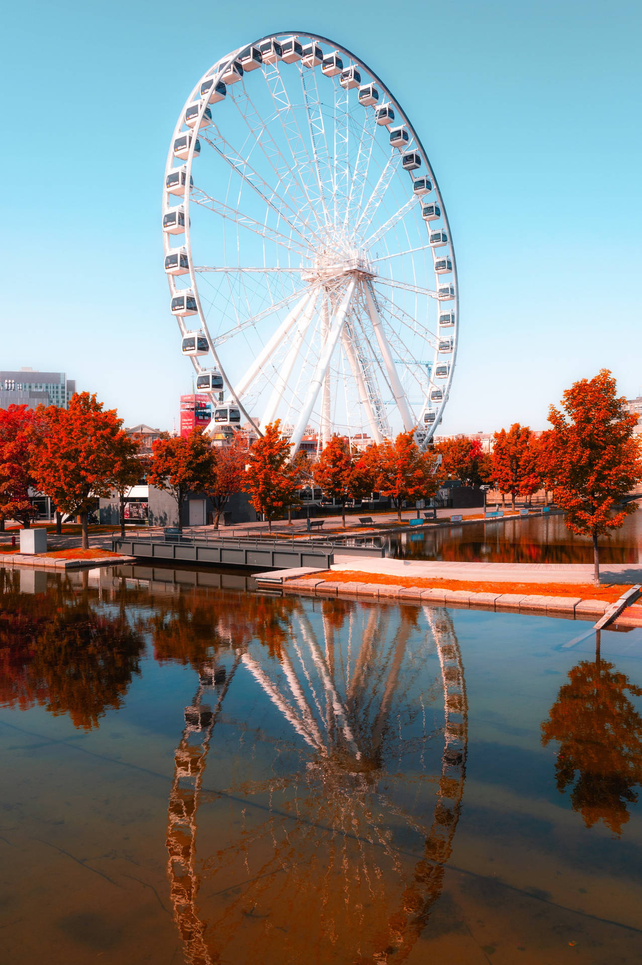 Aesthetic Fall Ferris Wheel Picture