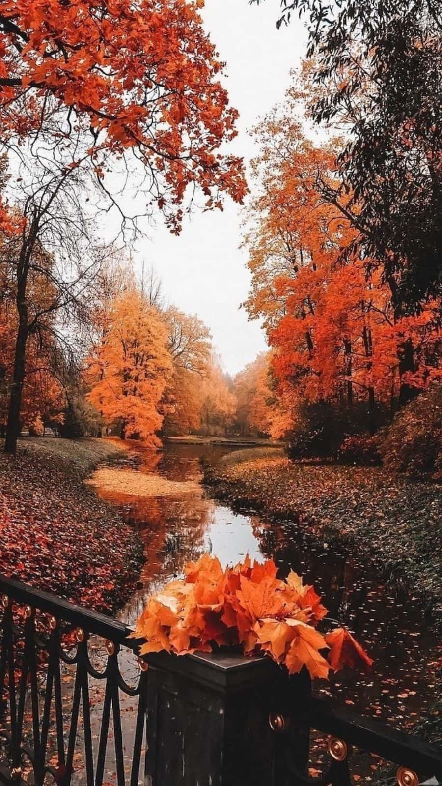 Enjoy a picturesque autumn in the countryside