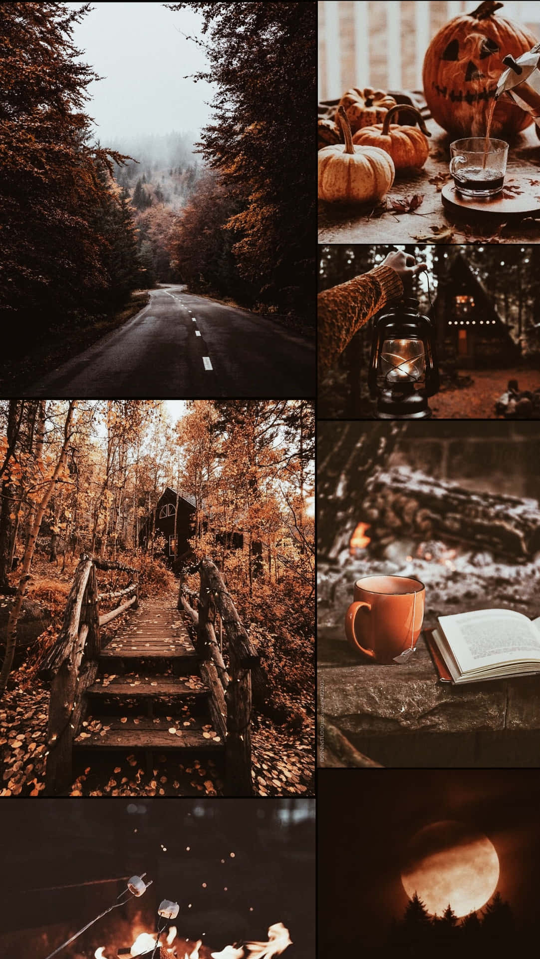 Enjoy a peaceful yet Aesthetic Fall Day