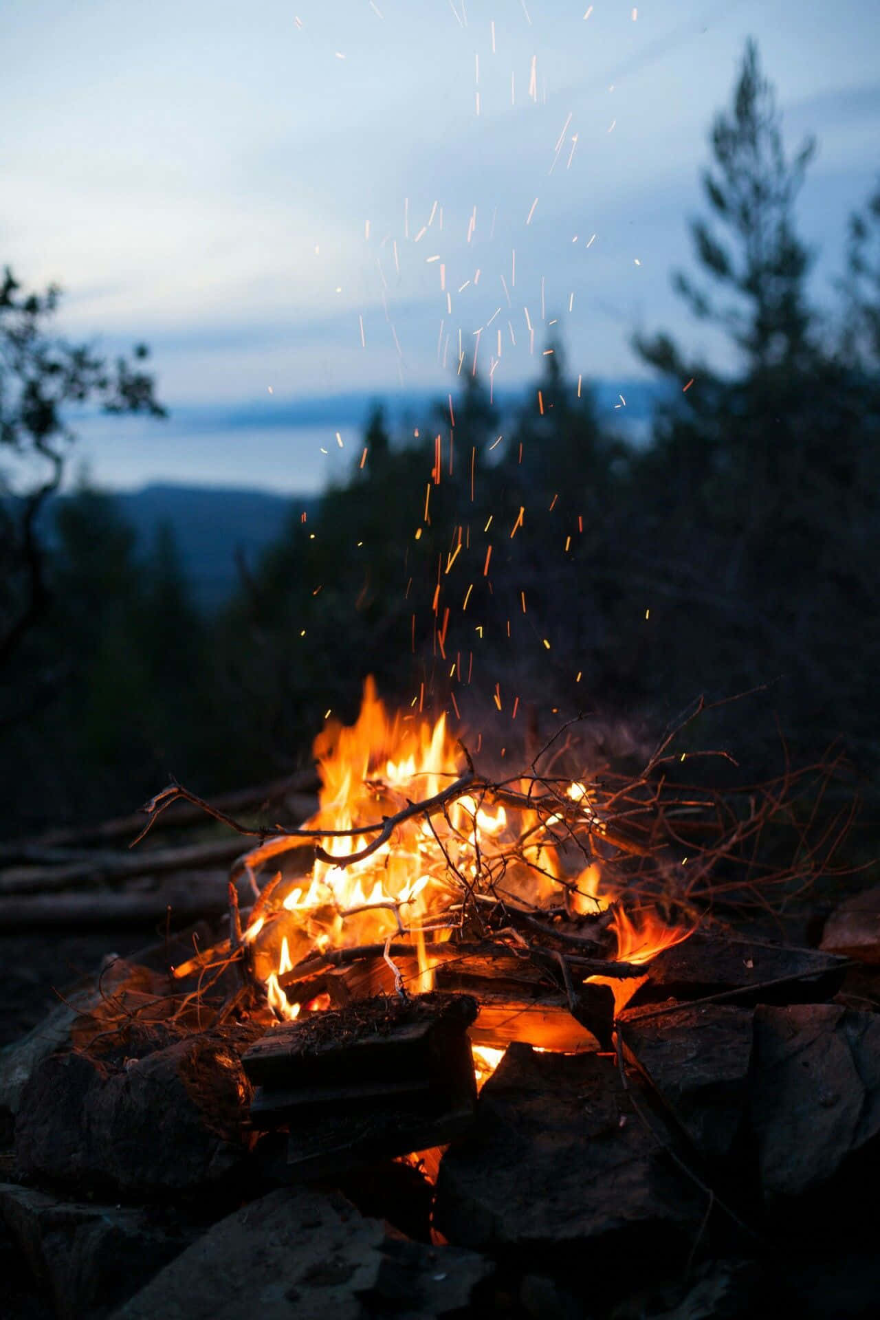 Einlagerfeuer Brennt Im Wald. Wallpaper